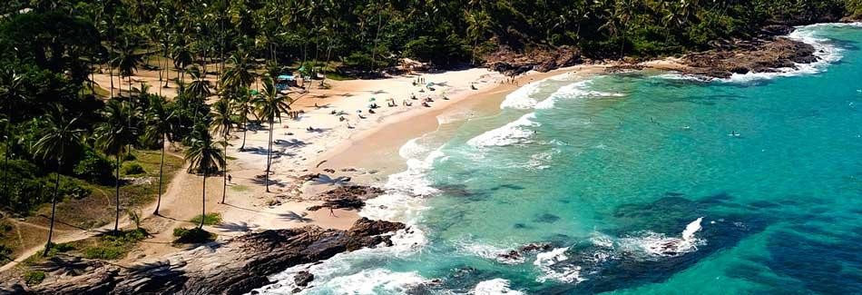 Praia em Itacar&eacute;, Bahia, com &aacute;guas cristalinas, areia clara e coqueiros cercados pela Mata Atl&acirc;ntica.